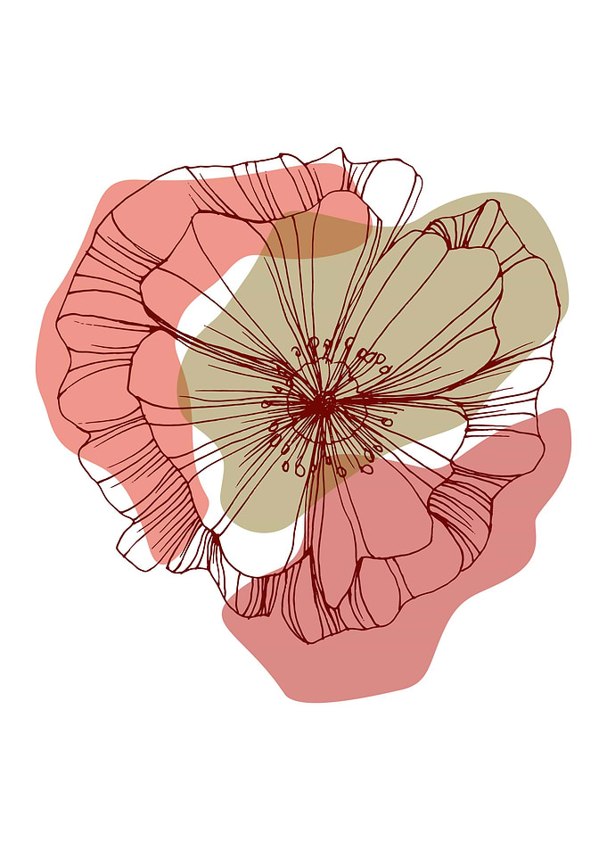 Poppy Botanical Floral