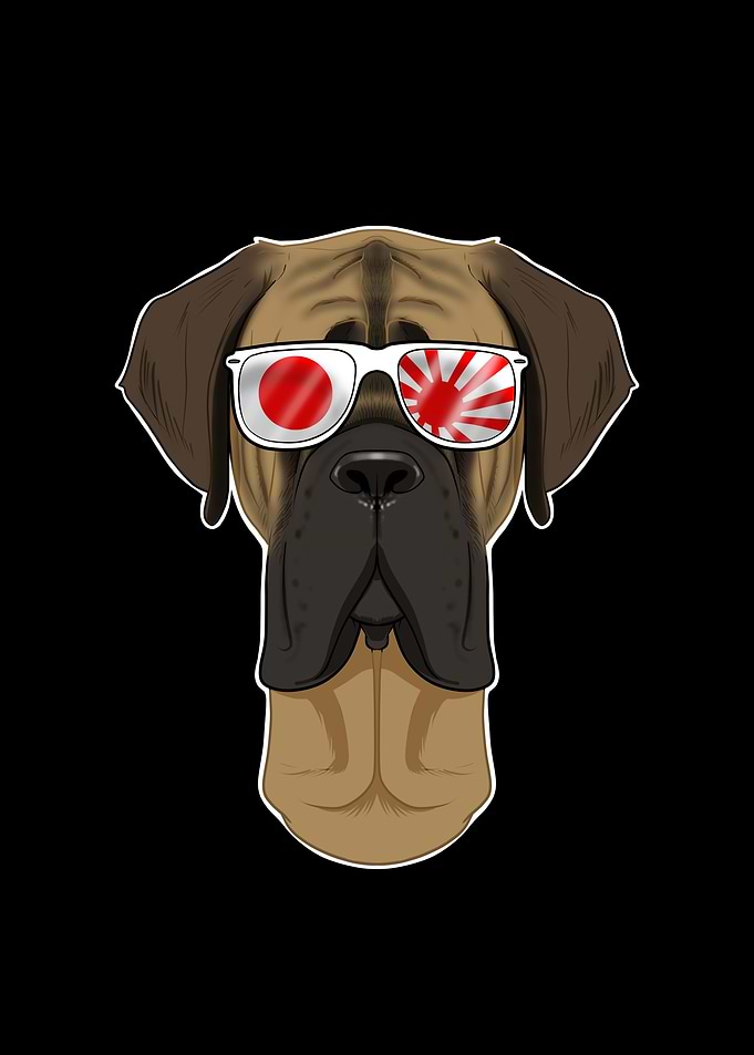 Mastiff Japan Sunglasses