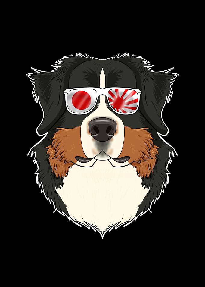 Bernese Mountain Dog Japan