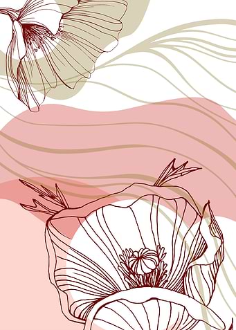 Poppy Minimalist Garden