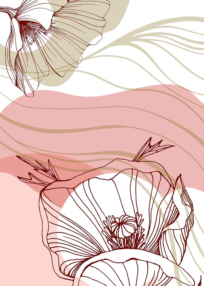 Poppy Minimalist Garden