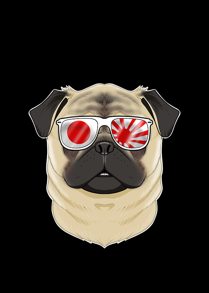 Pug Japan Sunglasses