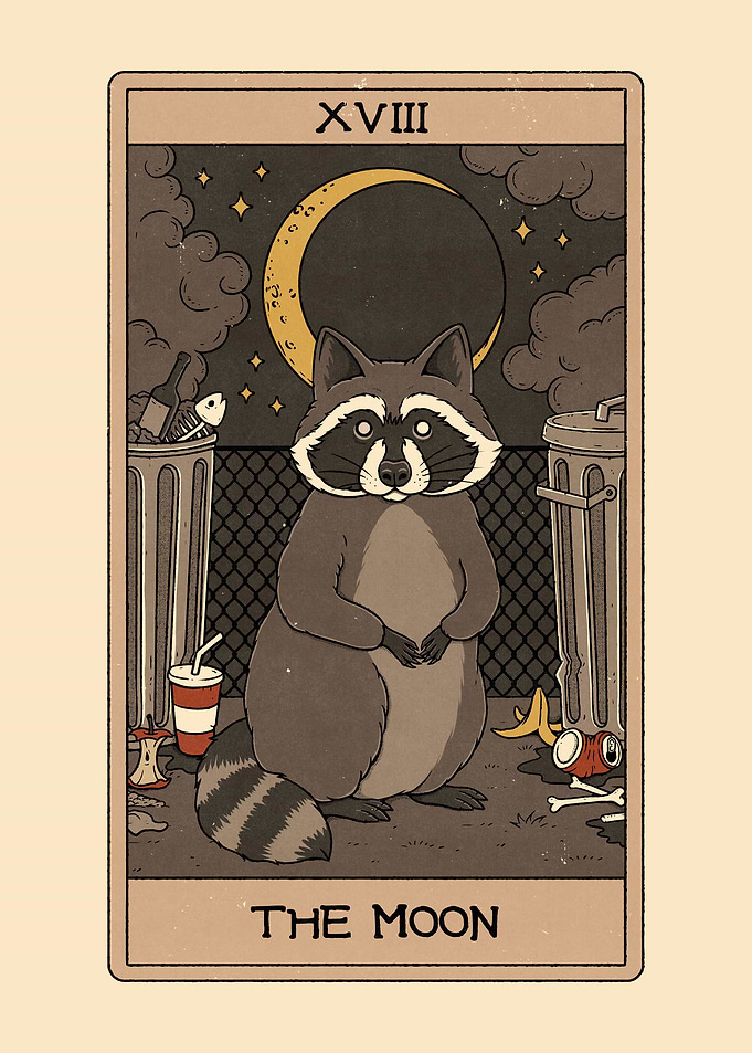 The Moon Raccoon