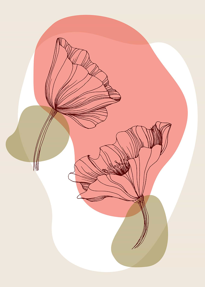 Poppy Botanical Floral