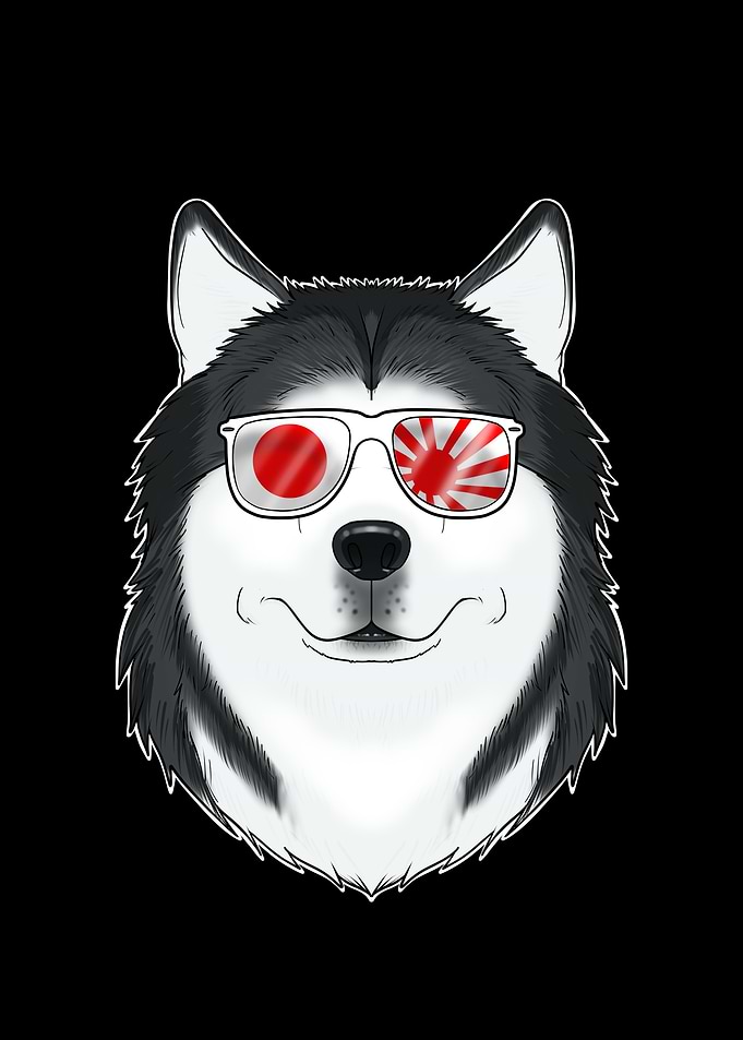 Husky Japan Sunglasses