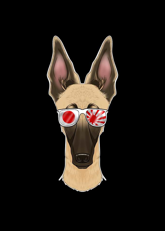 Malinois Japan Sunglasses