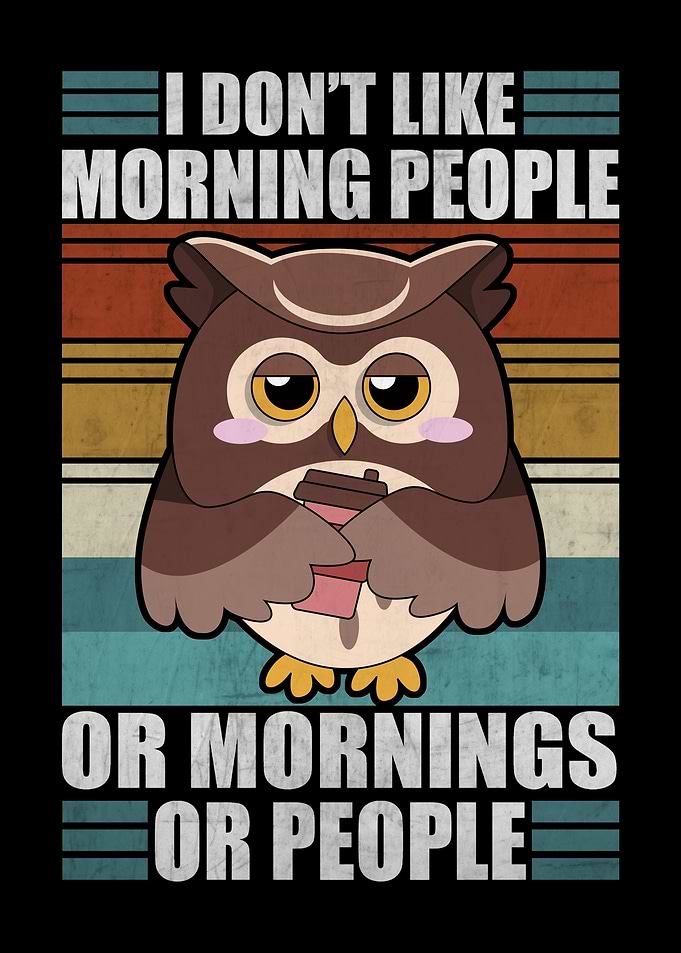 Sarcastic Owl Moody
