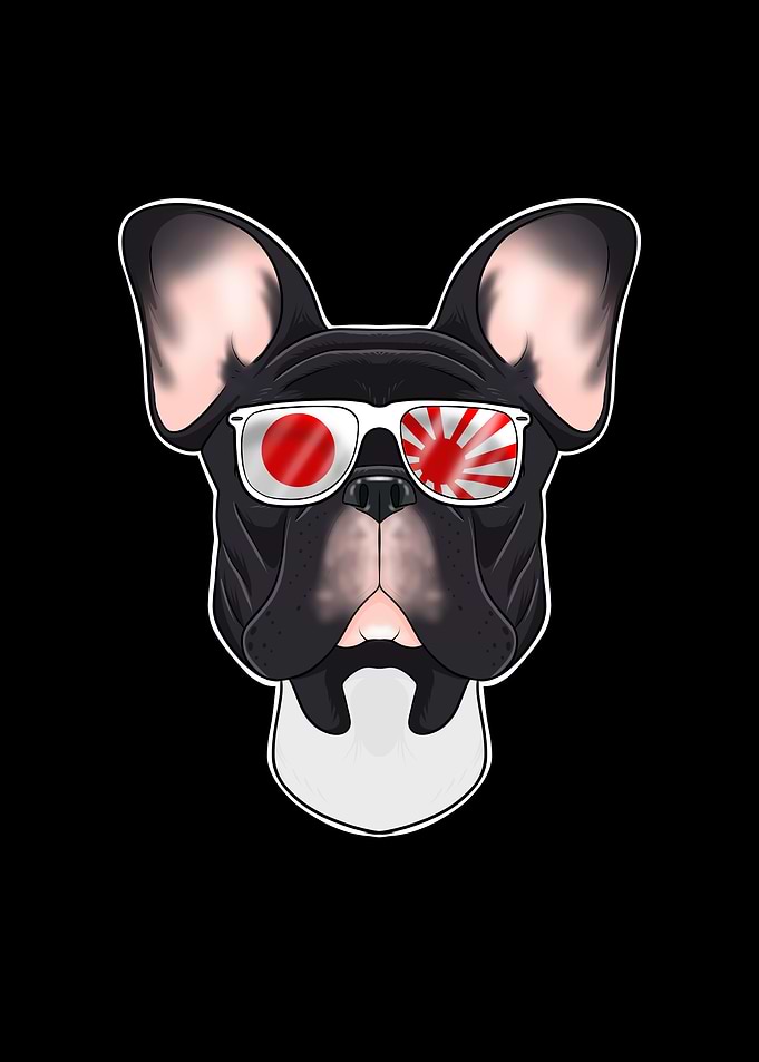 French Bulldog Japan
