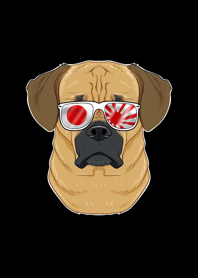 Puggle Japan Sunglasses