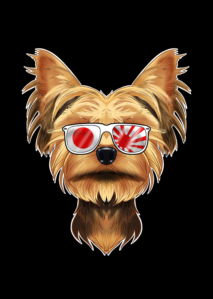 Yorkshire Terrier Japan