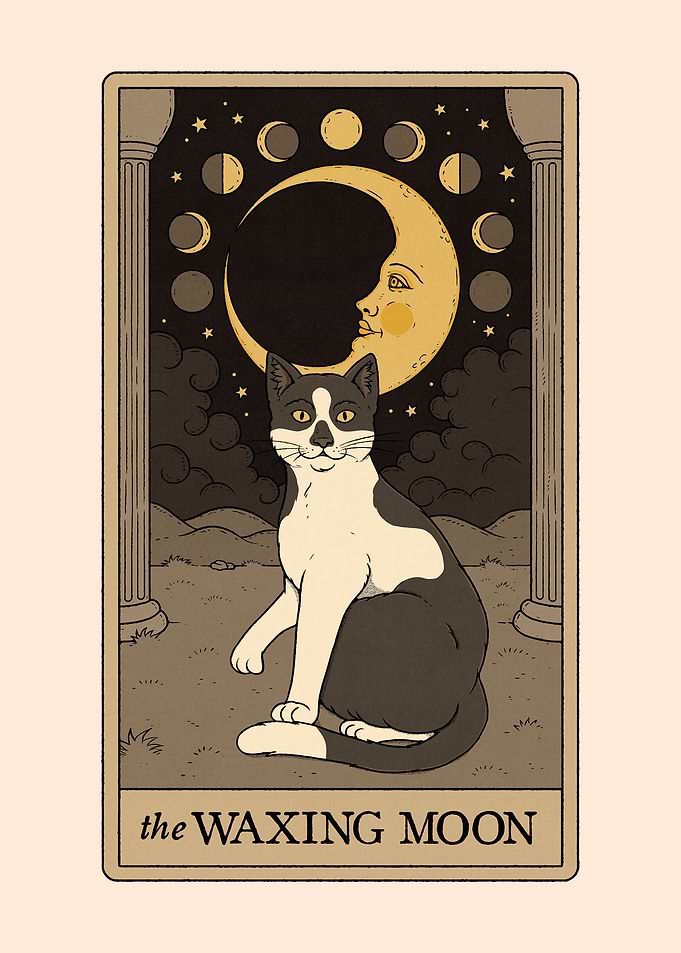 The Waxing Moon Cat