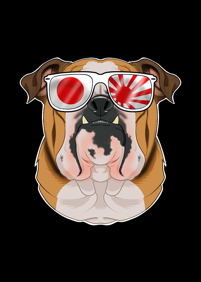 English Bulldog Japan
