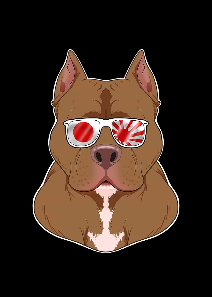 Pitbull Japan Sunglasses