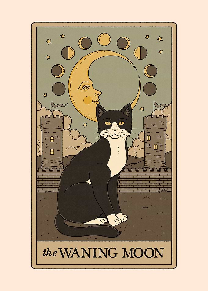 The Waning Moon Cat