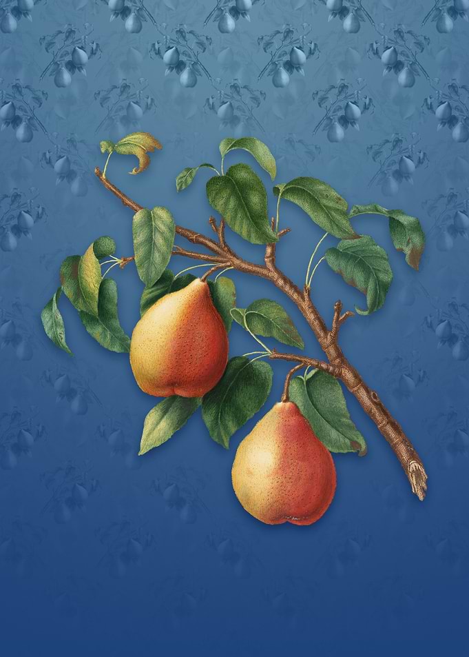 Vintage Wild European Pear