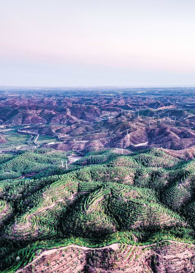Vegetation mountains
