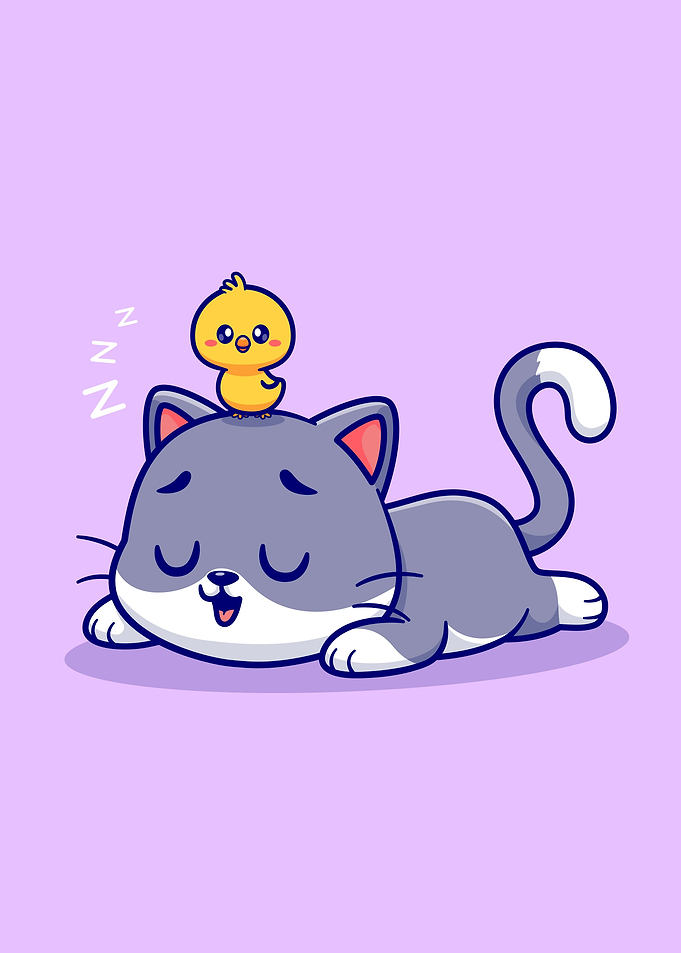 Cute cat sleeping
