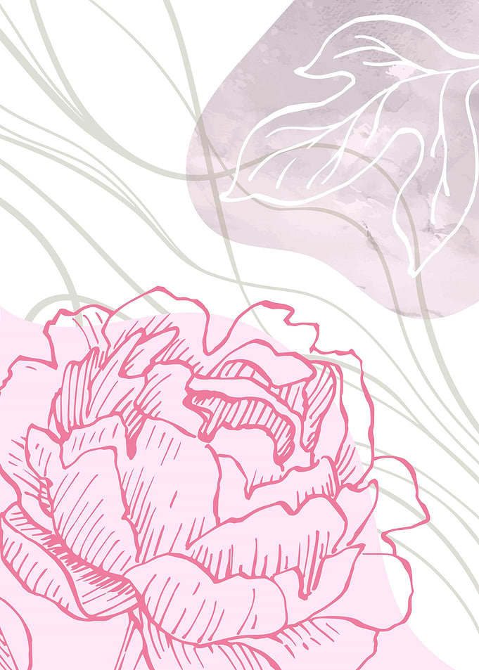 Peony Minimalist ART