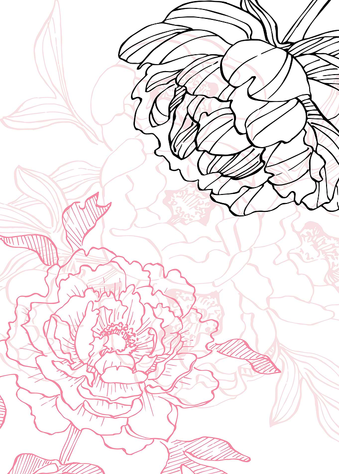 Peony Flowers Art