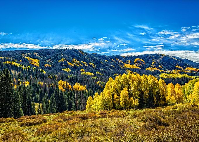 Cumbres and Toltec Train