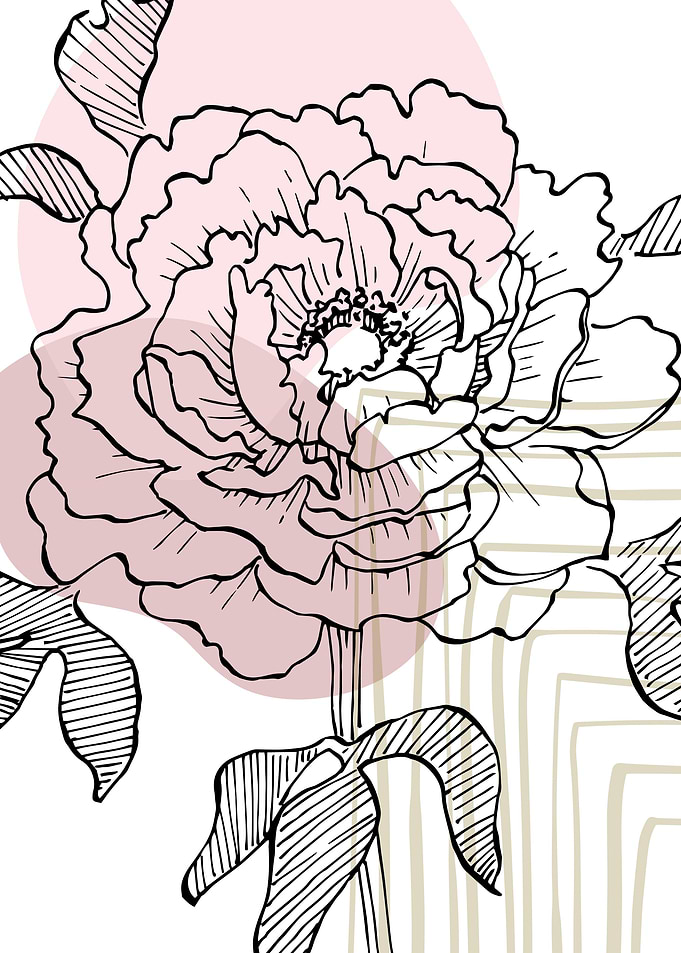 Peony Flowers Art
