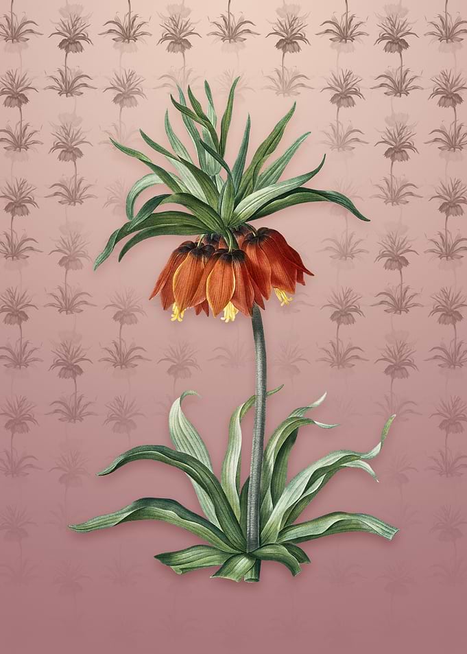 Vintage Fritillaries
