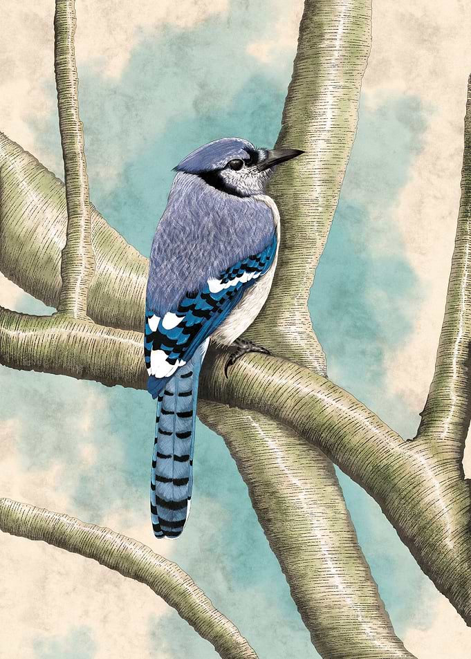 Blue Bird