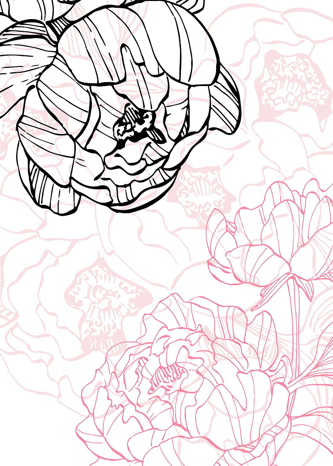 Peony Flowers Art