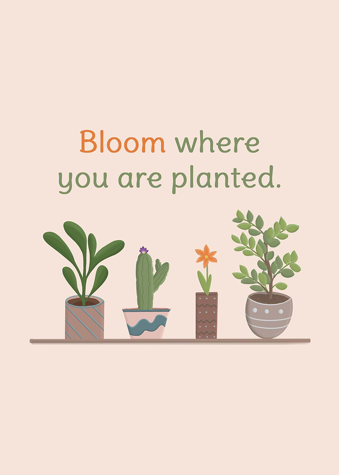 Just Bloom
