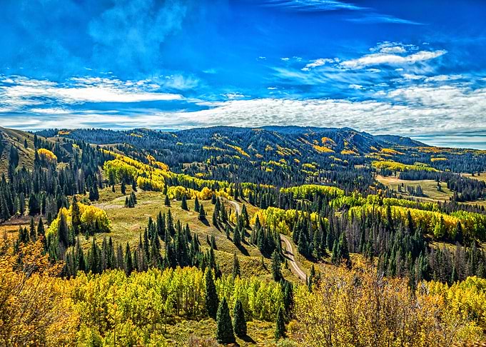 Cumbres and Toltec Train