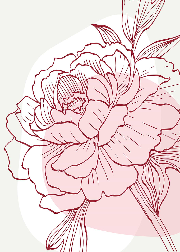 Peony Flowers Art