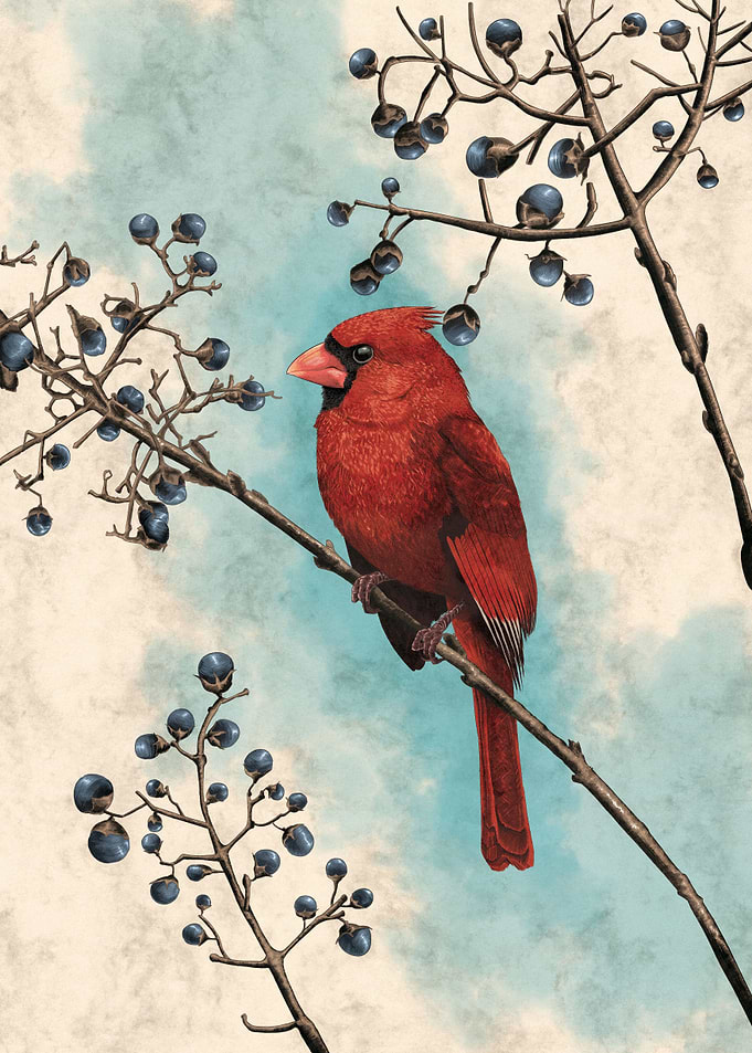 Red Bird