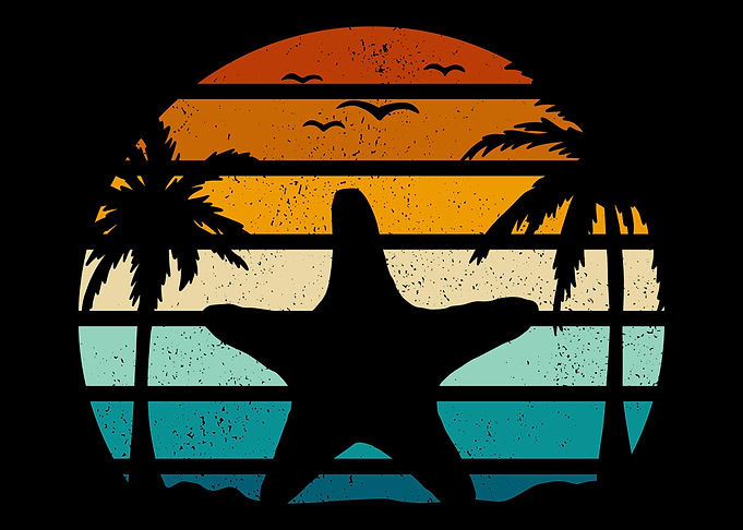 Starfish Ocean Animal Sea
