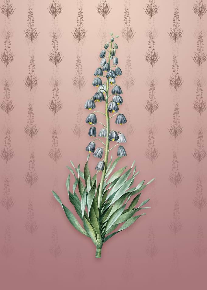 Vintage Persian Lily