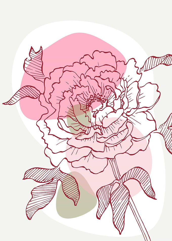 Peony Flowers Art