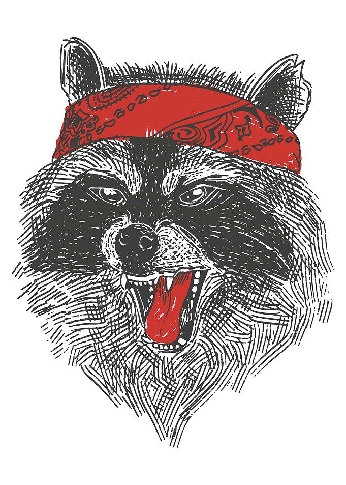 Angry bandana raccoon