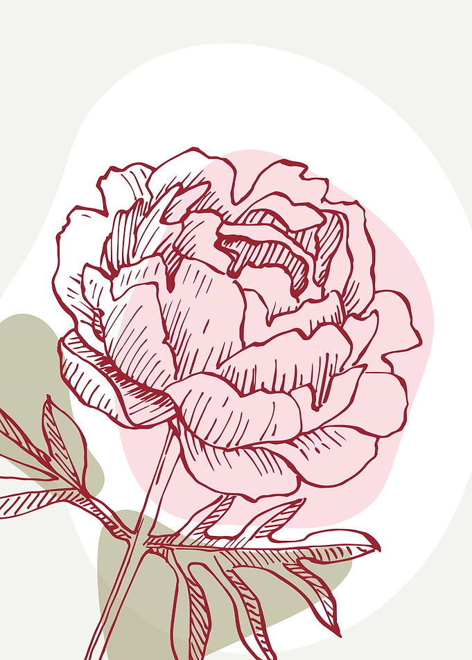 Peony Flowers Art