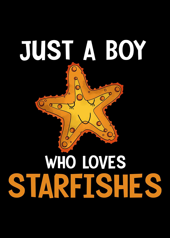 Starfish Ocean Animal Sea