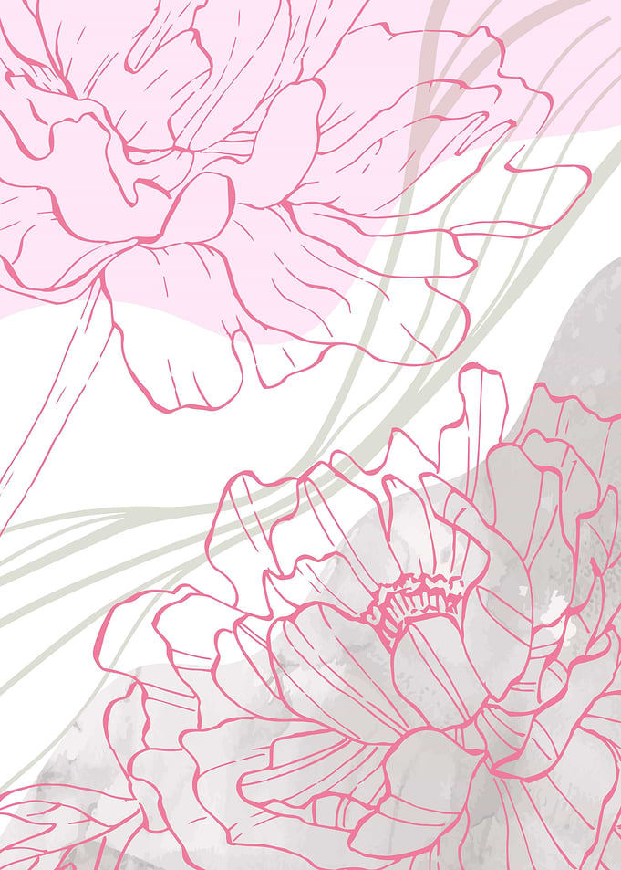 Peony Minimalist ART