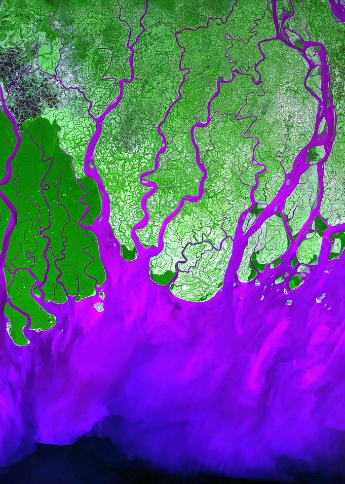 Ganges Delta