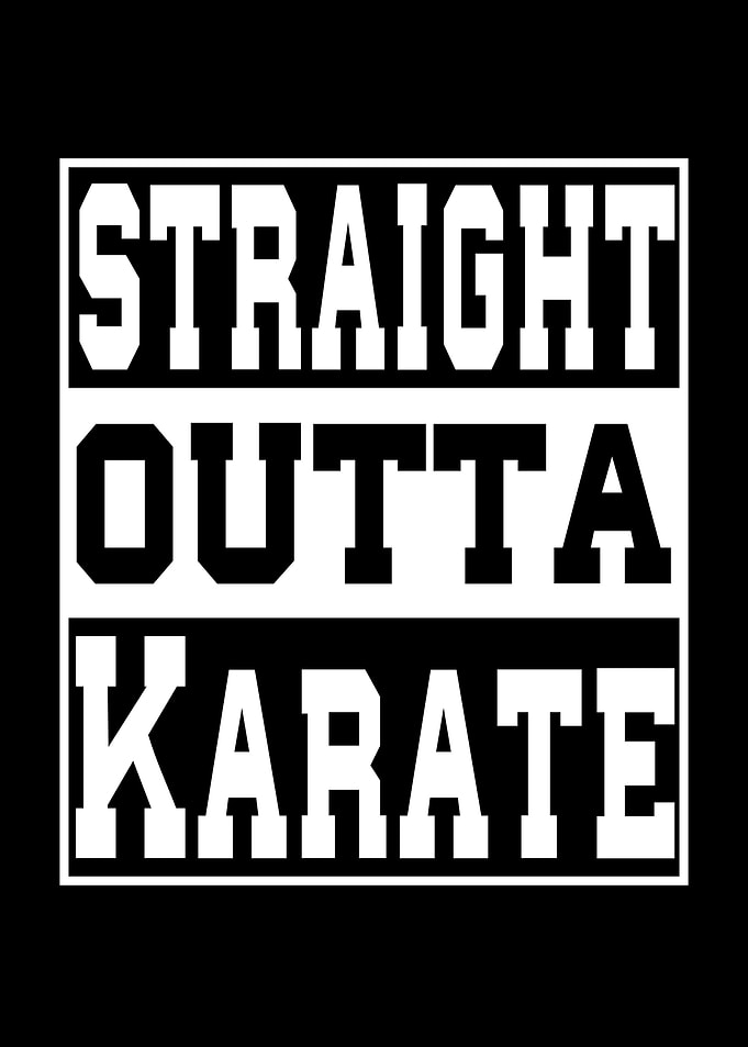 Karate Saying funny
