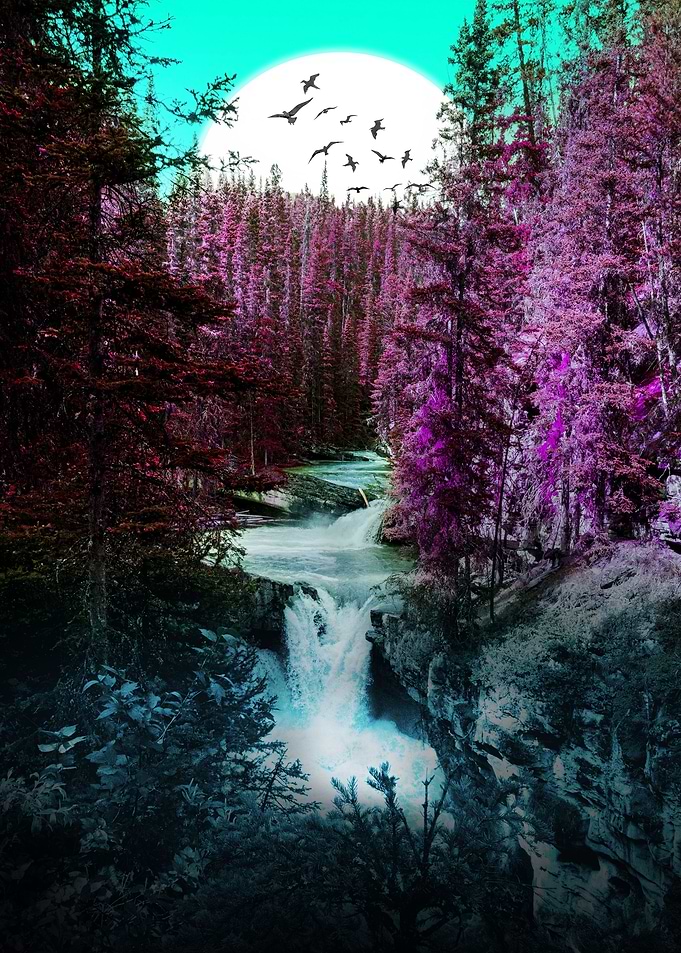 Beauty of Nature