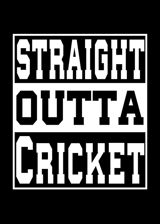 Cricket Saying Funny