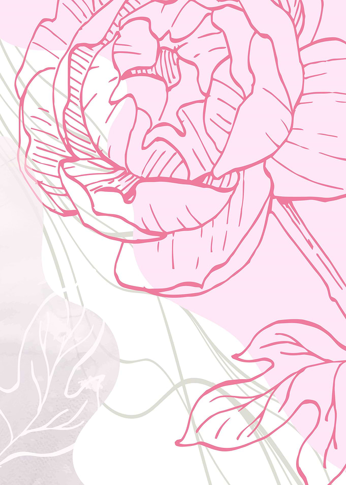 Peony Minimalist ART