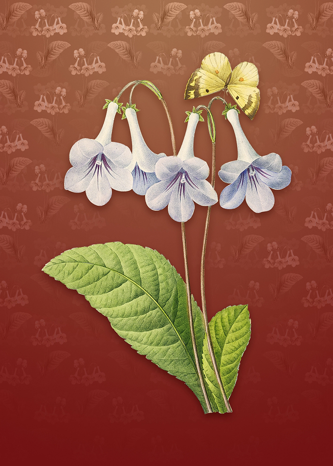 Vintage Canterbury Bells