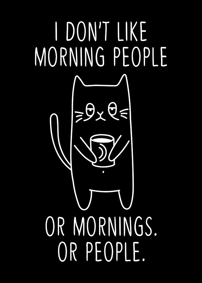 Moody Kitty Morning