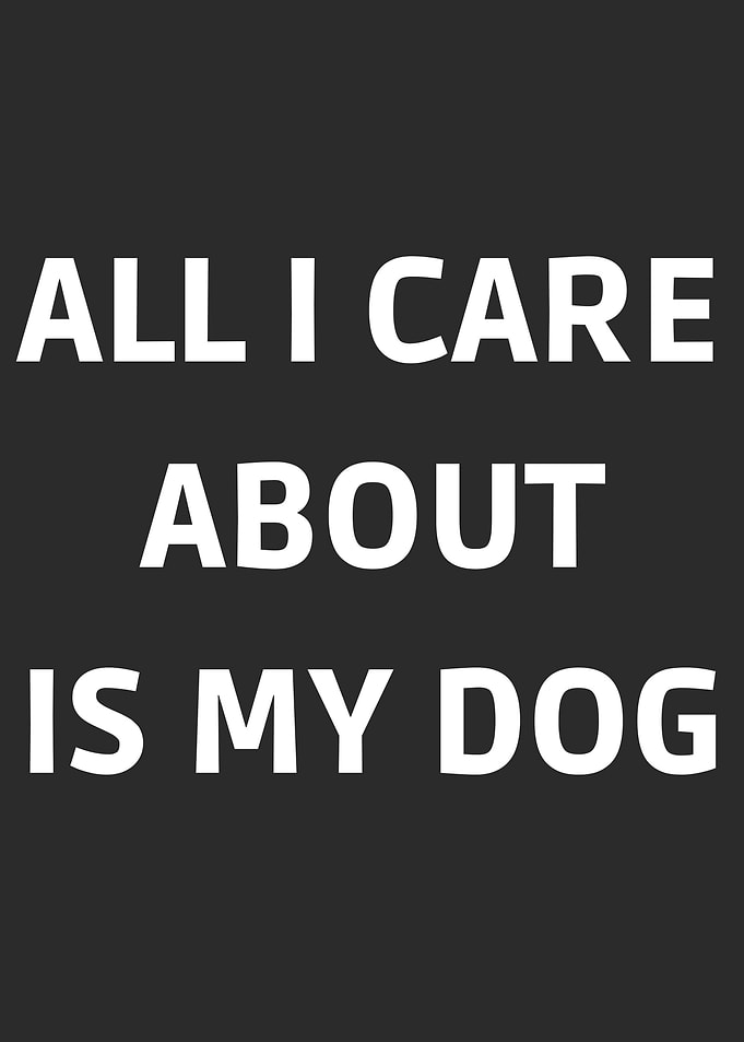 All I Care About Is My Dog