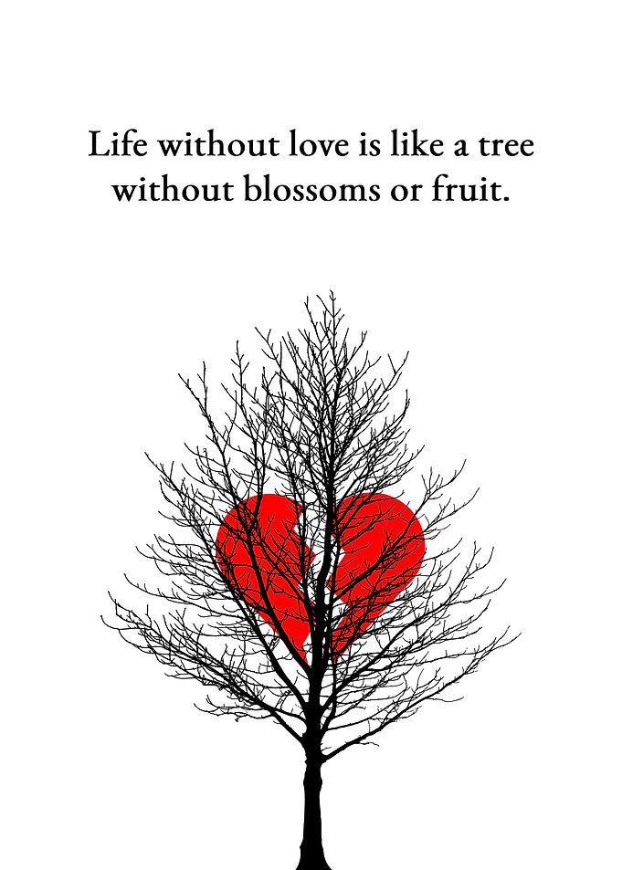 Life Without Love