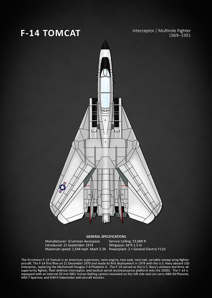 F14 Tomcat