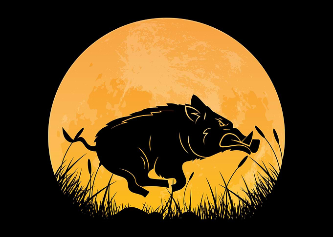 Moon Boar Hunter Sow